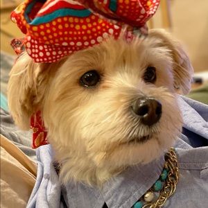 Meet your Posher, Nomi